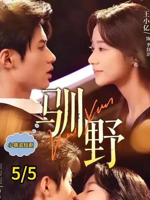 长风渡电视剧封面